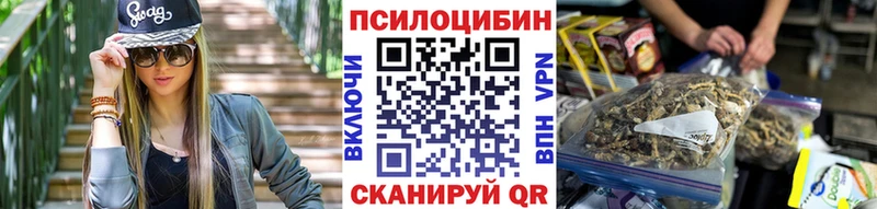 Купить Дубна Галлюциногенные грибы GOLDEN TEACHER